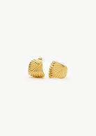 Ripple Stud Earrings (8431972942021)