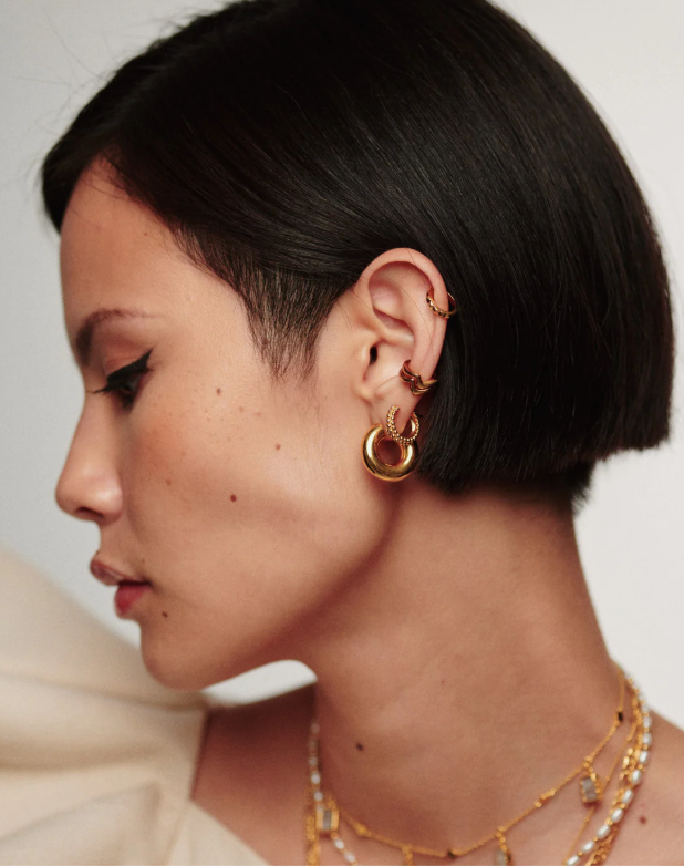 Chubby Mini Hoop Earrings (8433809195205)