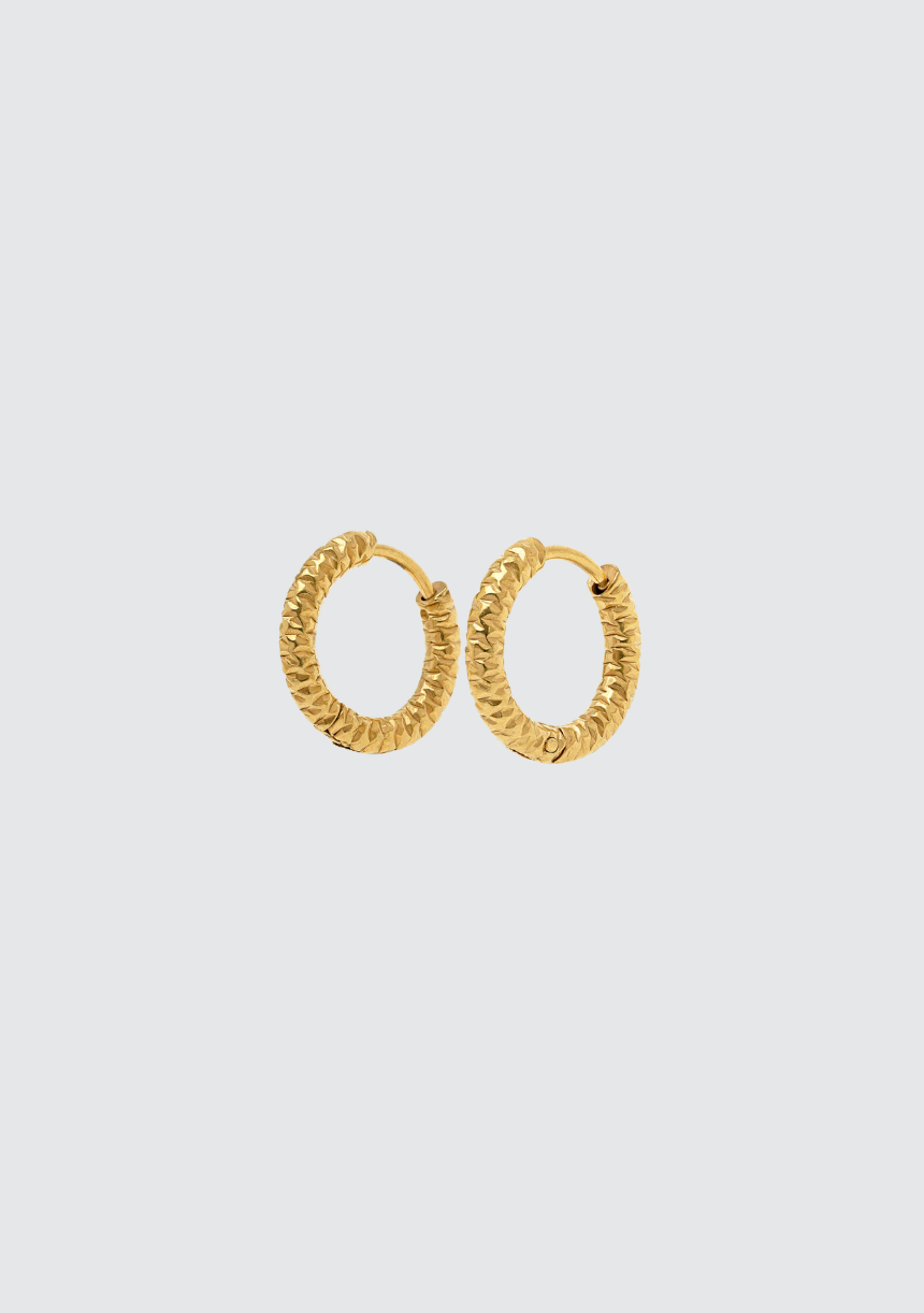 Torun Hoop Earrings (8441678463173)