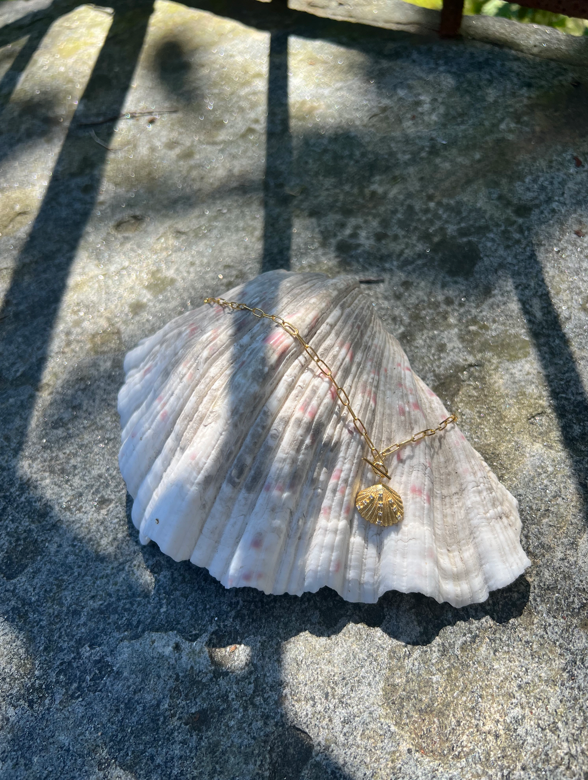 Shell Necklace (7247569813701)