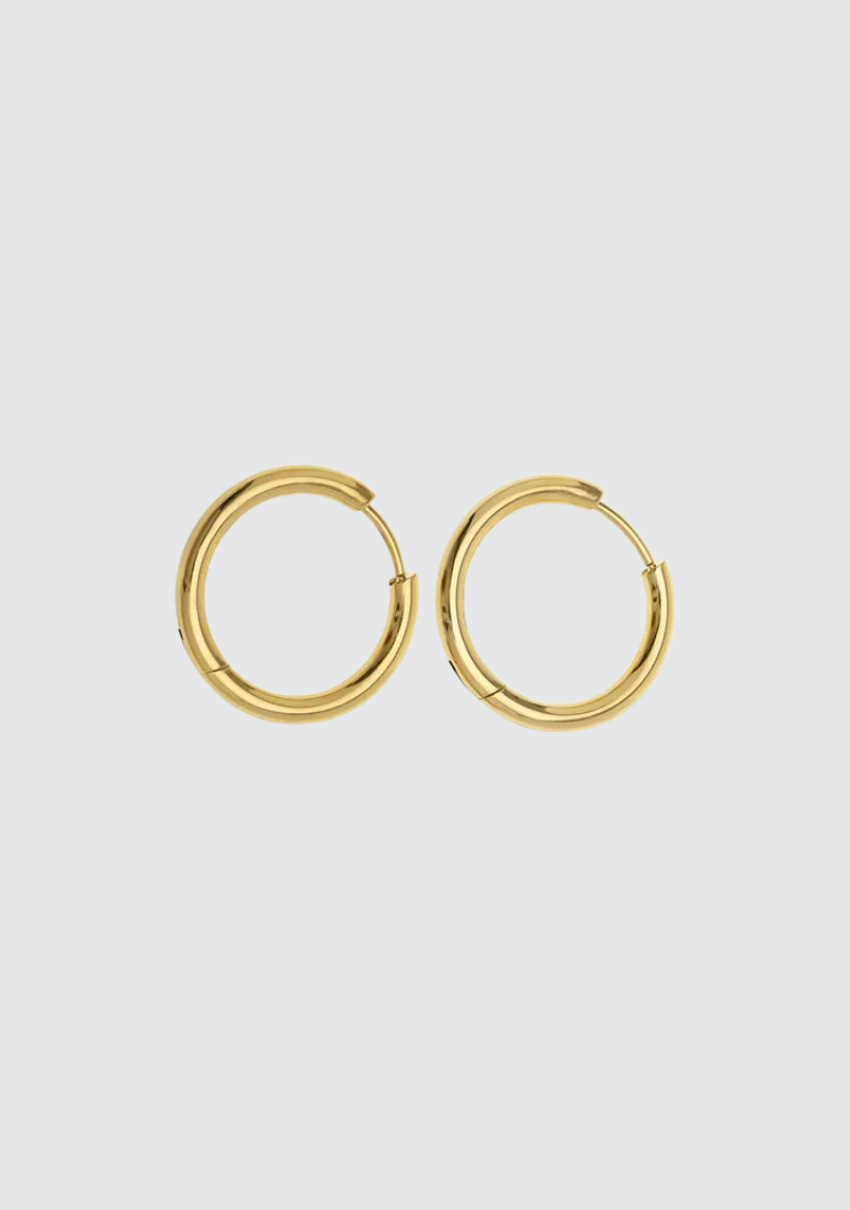 Hollie Hoop Earrings Gold (8441678528709)