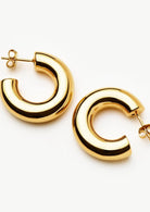 Chubby Medium Hoop Earrings (8431973171397)