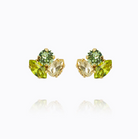 Ana Earrings Gold (7698335301829)