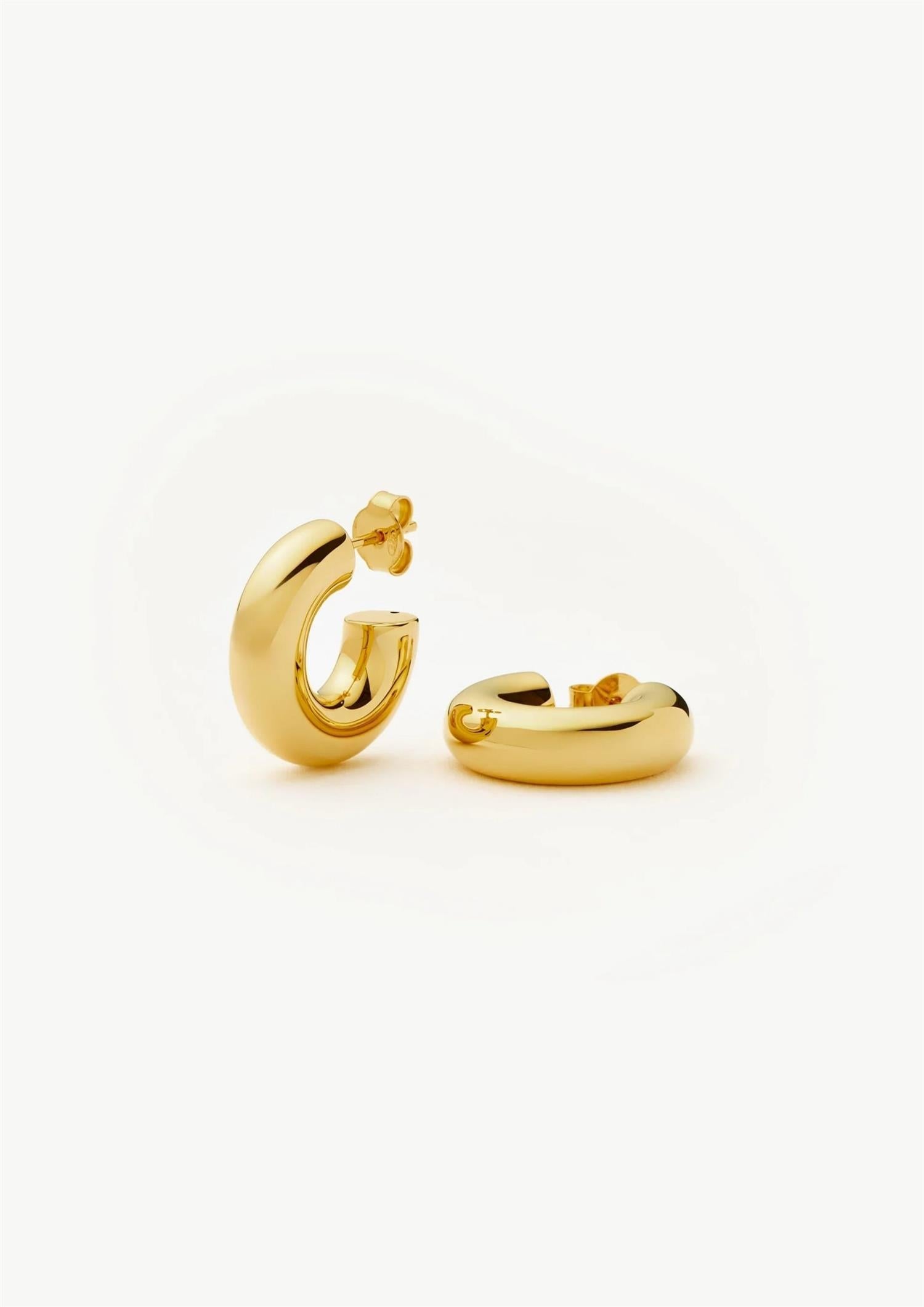 Chubby Small Hoop Earrings (8431973236933)