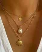 Shell Necklace (7247569813701)